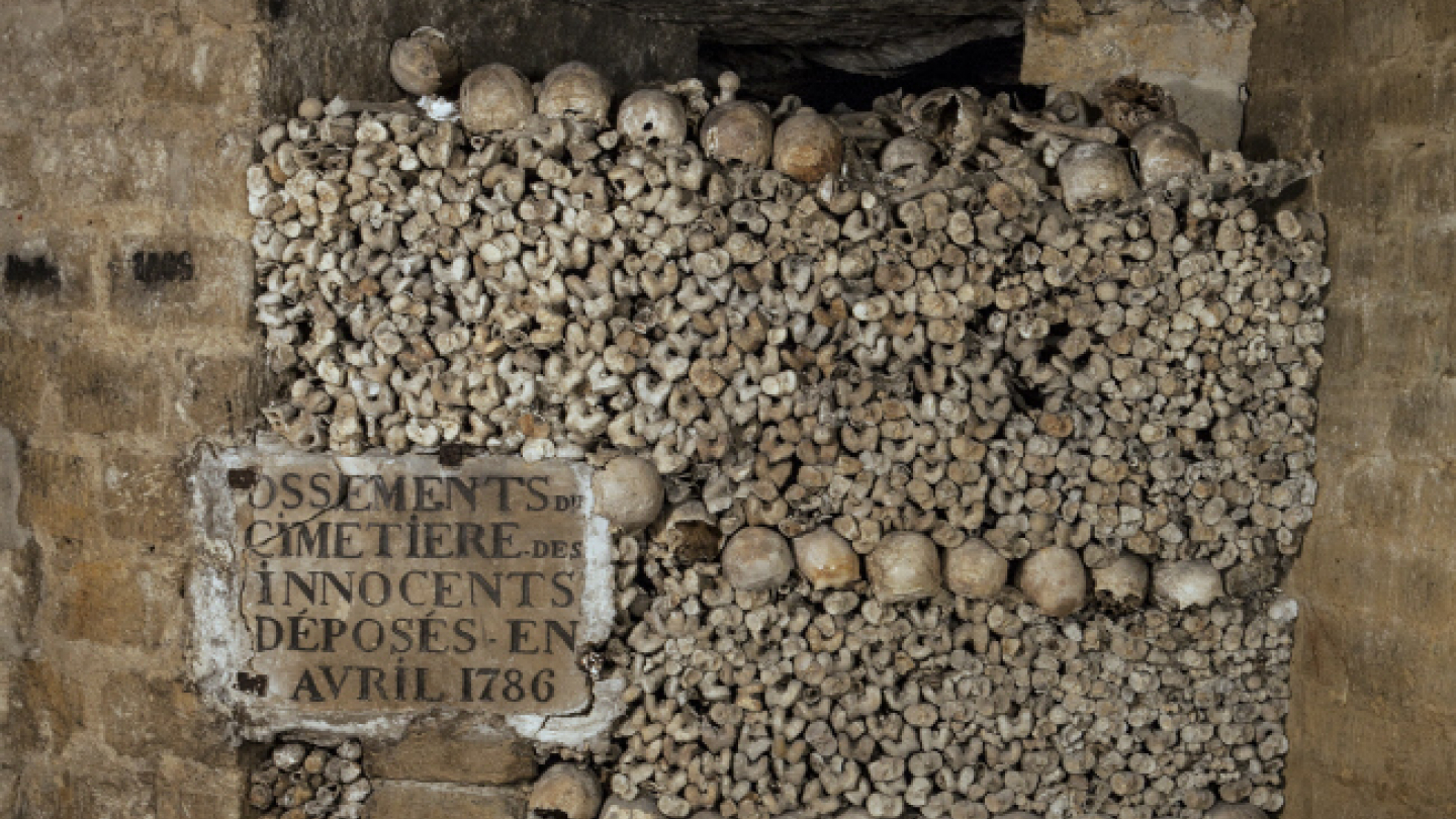 image d'illustration